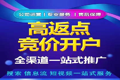 专业SEM代运营推广公司成功案例分享